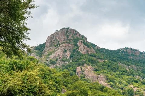 A mountain covered in trees and a cloudy sky Stock-Fotos