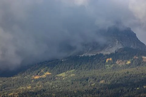 A mountain covered in trees with a cloudy sky in the background Stock Photos