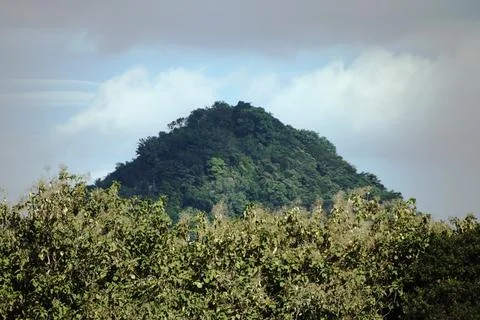 A mountain covered in trees with a cloudy sky in the background Stock Photos