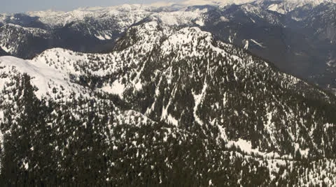 Mountain Covered in Trees Stock Footage 23850634