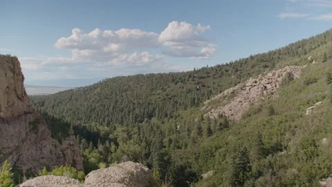 Mountain covered in trees Stock Footage 204882457