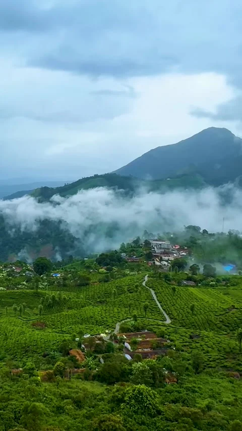 Mountain covered visible silhouettes through fog. (Vertical). 스톡 동영상 300946255
