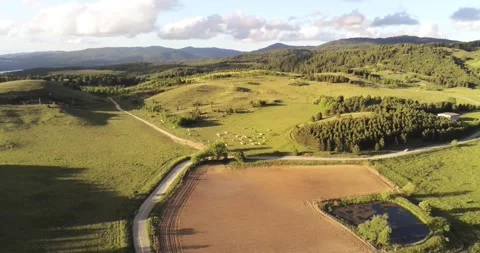 Mountain cows Video stock 132789998