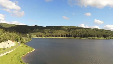 Mountain cows Video stock 132791677