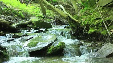Mountain creek  _1 Video stock 11151531