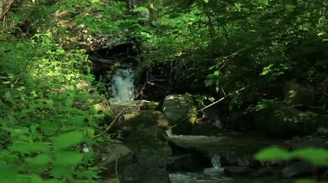 Mountain creek _11 Stock Footage 11144394
