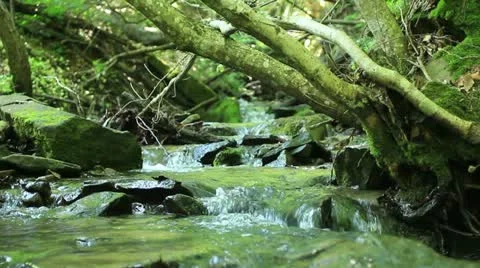 Mountain creek _2 Video stock 11151214