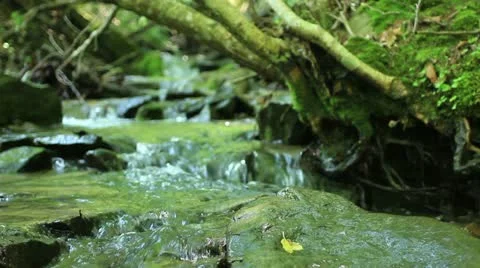 Mountain creek _3 Stock Footage 11150432