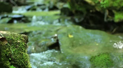 Mountain creek _4 Stock Footage 11150277