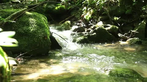 Mountain creek _6 Stock Footage 11150054
