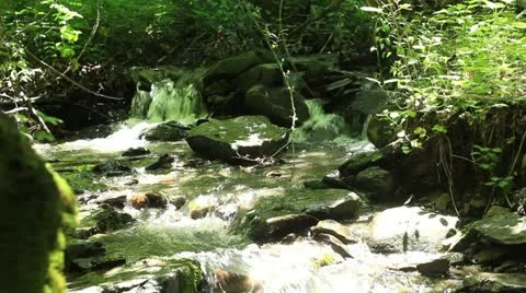 Mountain creek _9 Stock Footage 11148906