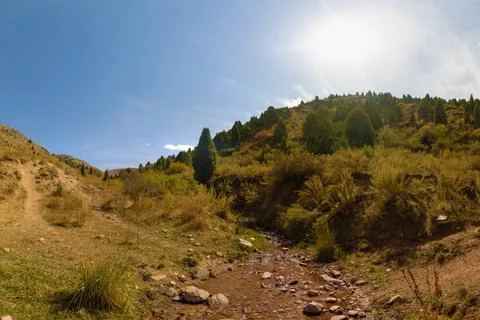 Mountain Creek Bed with Junipers Under Sunny Sky 스톡 사진