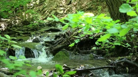 Mountain creek (cascade) _1 Stock Footage 11155585