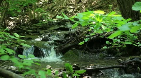 Mountain creek (cascade) _2 Stock Footage 11156322