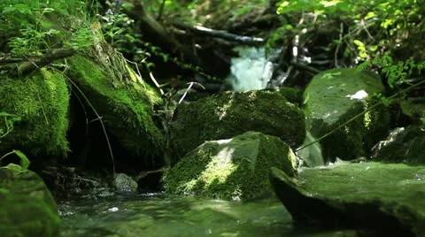 Mountain creek (cascade close up) _2 Stock Footage 11154185