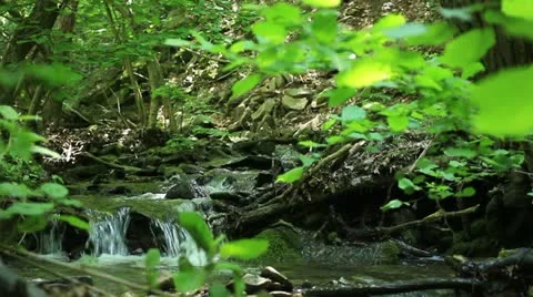 Mountain creek (cascade total) _2 Video stock 11154864