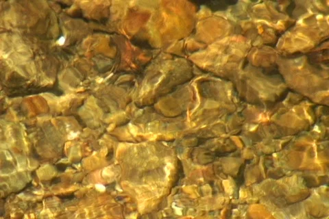 Mountain Creek Close Up 3 Video stock 373710
