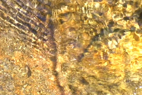 Mountain Creek Close Up Video stock 373695