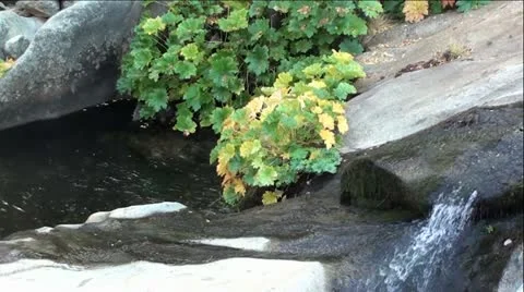 Mountain Creek with Fall Colors Video stock 12384883