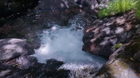 Mountain creek flowing over rocks in a forest Видео 333756510