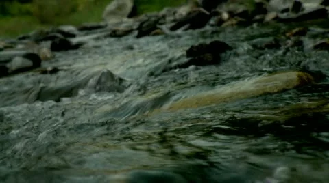 Mountain creek Vídeo Stock 12049122