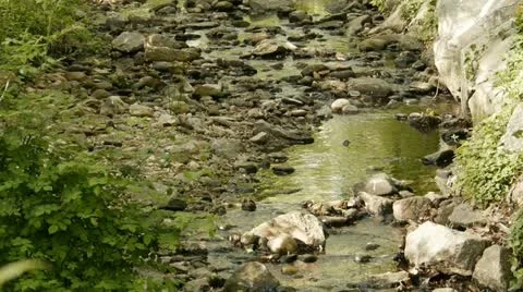 Mountain creek 스톡 동영상 12401228