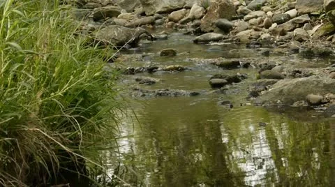 Mountain creek Stock Footage 12411561