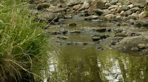 Mountain creek Stock Footage