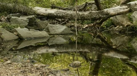 Mountain creek 스톡 동영상 18696767