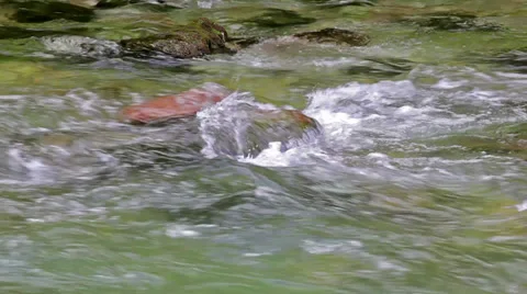 Mountain creek Stock Footage 38995706