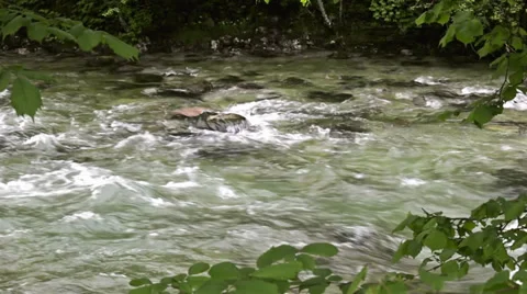 Mountain creek Stock Footage 38995710
