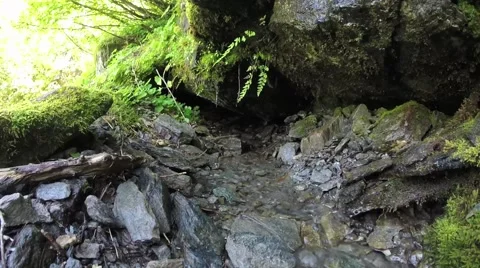 Mountain Creek Stock-Footage 41422925