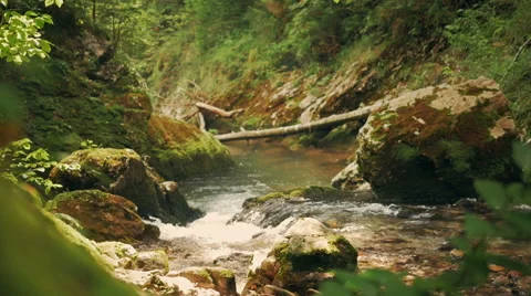 Mountain Creek Stock Footage 56877449