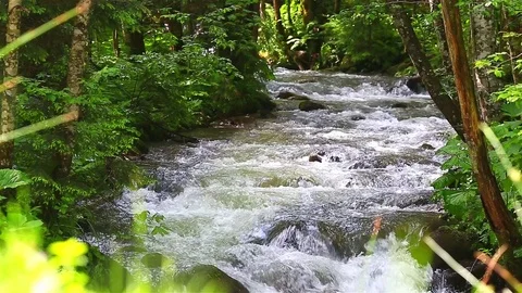 Mountain Creek Video stock 79159791