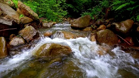 Mountain Creek Video stock 79160801