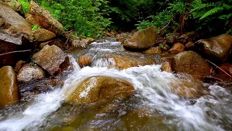 Mountain Creek Video stock 79161092