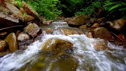 Mountain Creek Video stock 79161097