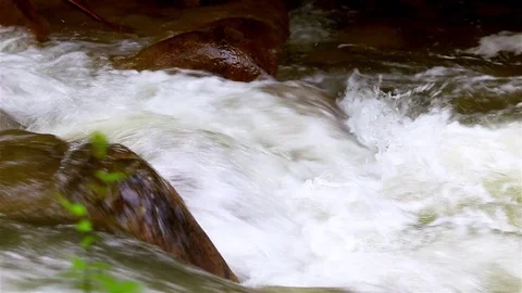 Mountain Creek Video stock 80002206