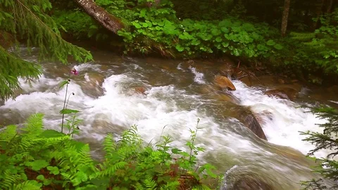 Mountain Creek Video stock 80002687