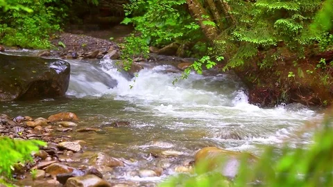 Mountain Creek Video stock 80002894