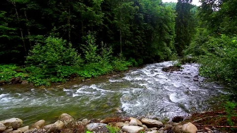 Mountain Creek Video stock 80002959