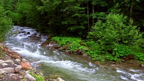 Mountain Creek Video stock 80003062