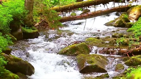 Mountain Creek Video stock 80003260
