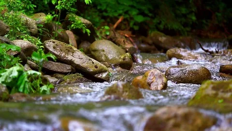 Mountain Creek Video stock 80003265