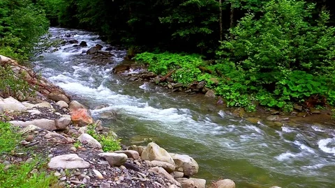 Mountain Creek Video stock 80003269
