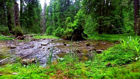 Mountain Creek Video stock 80003271