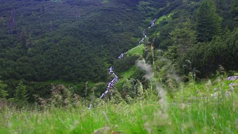 Mountain Creek Video stock 80016155