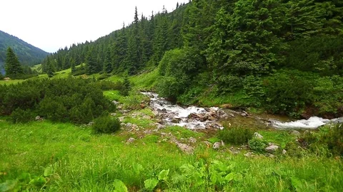 Mountain Creek Video stock 80016443