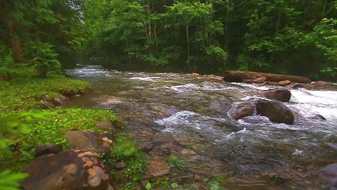 Mountain Creek Stock Footage