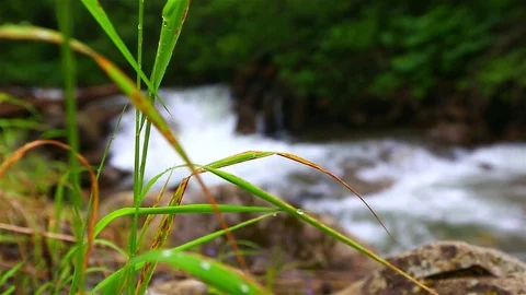 Mountain Creek Video stock 80020074